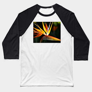 Bird of Paradise- California Baseball T-Shirt